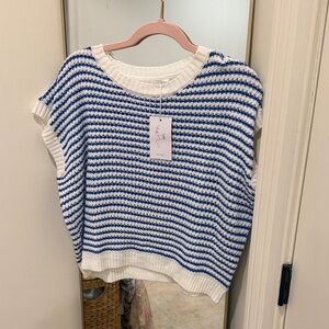 Blue and White Striped Knit Sweater Vest
